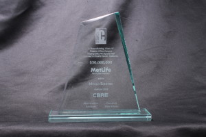 Custom Award for MetLife