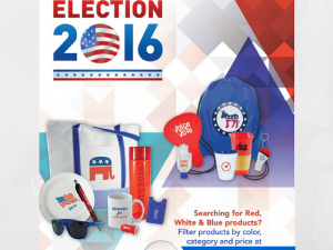 Be The Most Spirited At The Voting Poll For The 2016 Election!