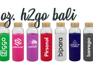 18 oz. h2go Bali Bottles