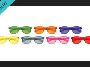 *New Product Alert* – Translucent Malibu Sunglasses