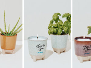 Modern Sprout Glow & Grow Gift Set